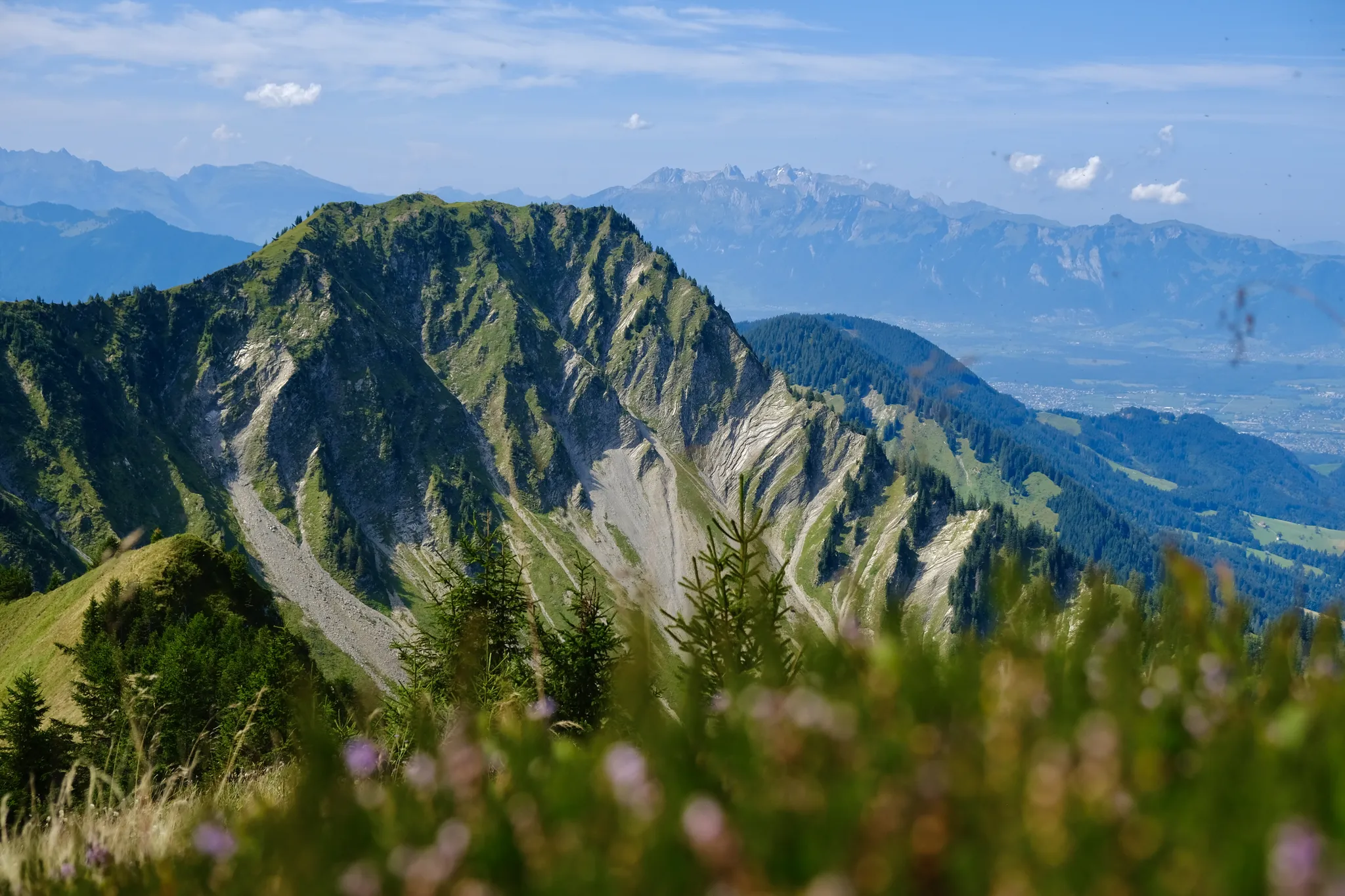 Prachtig uitzicht vanaf de Tälispitze in het Grosses Walsertal